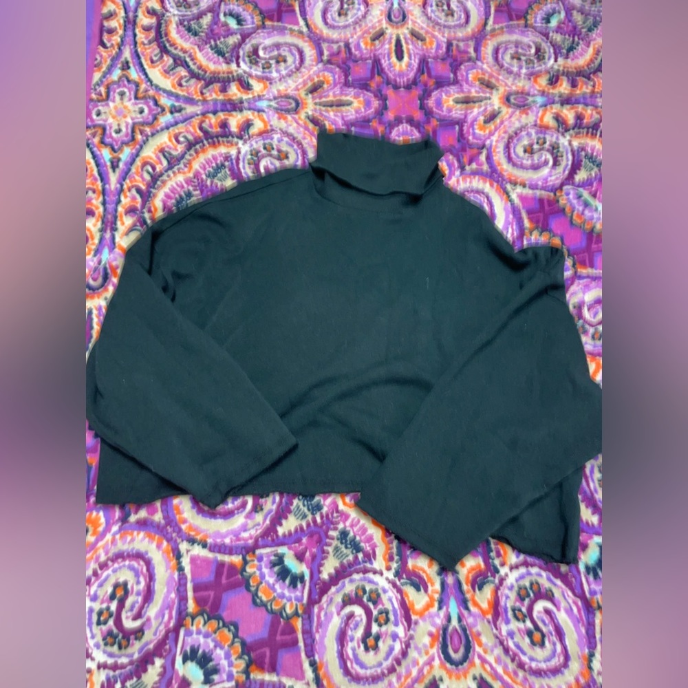 American Eagle cropped turtle neck. Size medium.
